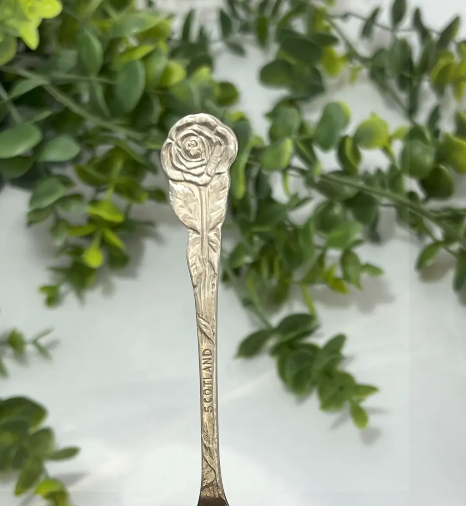 Rose - Scotland 2.webp