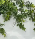 Fleur de Pavot