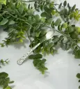 Tournesol
