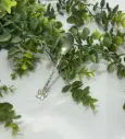 Fleur de Lin